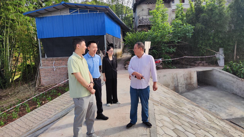 50.png 50.png